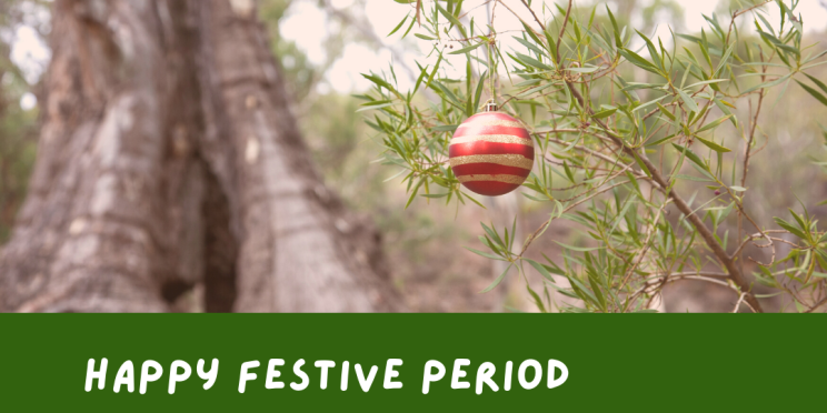 One small red Christmas bauble hangs outside on the branch of an Australian native with the text: Happy Festive Period.