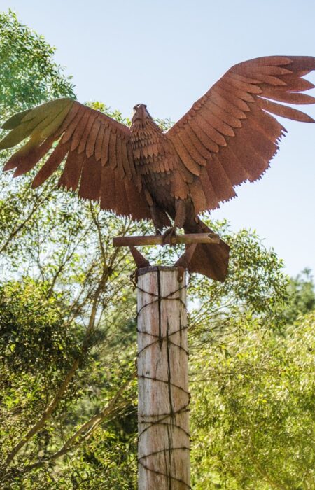 The chained eagle with its wings in full spread represents the story of women's survival, strength, resilience and ability to rise above all odds. Women may be bruised physically and emotionally but they still have this strong soul which, with the right nurturing, makes them rise stronger and better. This Eagle standing tall with all the barbed wire at its feet, with its feathers ruffled and yet wings spread strong gives a message of hope to the community and to women to find the strength in their wings, to fly high in the face of adversity and to rise from the ashes to stand up for themselves, their children and for humanity. A large rusted metal sculpture of a bird is mounted on a wooden post wrapped with rusted barbed wire. The viewer looks up to the statue, which is set against trees and light blue sky.